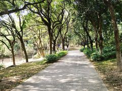 -燕晗山郊野公园