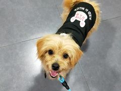 -佳百利宠物(荣乐中路115弄小区店)