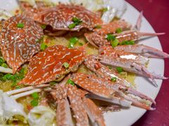 -舒味姜母鸭·沙茶面(湖里店)
