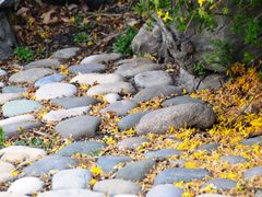 -元大都城垣遗址公园