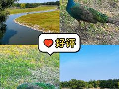 -南海子公园