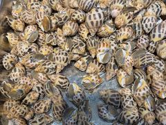 -501號台州海鲜餐厅(海创园店)