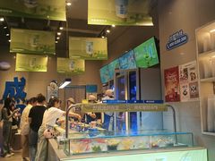 -溪边姑娘·拉丝酸奶水果捞(春熙路店)