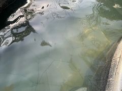 -太白山御龙湾温泉