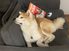 -YCHL Studios健身工作室(市二宫店)