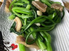 猪油渣炒菜心-旺富东海大酒楼(海鲜街店)