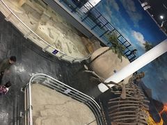 -吉林省自然博物馆