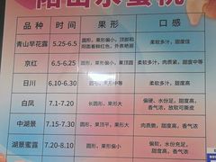 -老袁家蜜桃农场·阳山水蜜桃