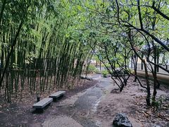 -江宁织造博物馆