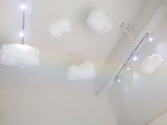 -BABYDOG宝贝狗宠物乐园(欧洲城店)
