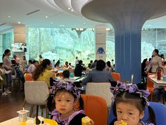 -帝企鹅自助餐厅•儿童岛•真企鹅(长隆企鹅酒店)