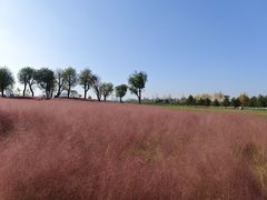 -汉长安城未央宫国家考古遗址公园