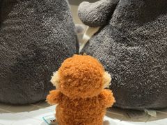 -深圳湾万象城(南山店)