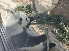 -青藏高原野生动物园