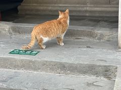 -白云观