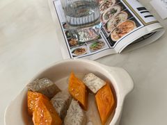 -MR鹅外