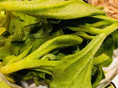 -一叶一世界•素食餐厅(新光天地店)
