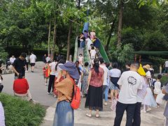 -成飞公园