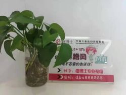 -痘博士天津·全国连锁祛痘机构