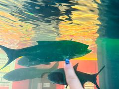 -千岛湖鱼味馆(十字街总店)