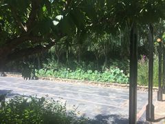 -瓦厂酒店
