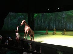 -cavalia·舞马