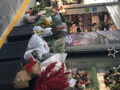 -溪岸路花鸟市场