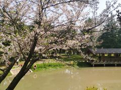 -堤角公园