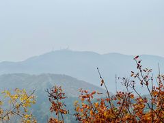 -香山公园