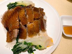 金牌烧鹅饭-龙记烧腊茶餐厅(常德路店)