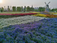 -南通鲜花小镇