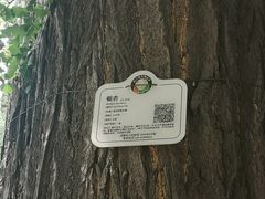 -成都杜甫草堂博物馆