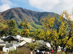 -塔川景区