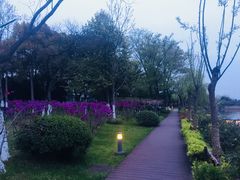 -上海市保健医疗中心(华东疗养院)