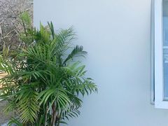 -青龙山国家森林公园