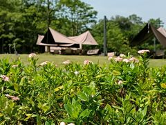-云溪植物园