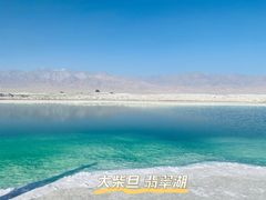 -青藏高原野生动物园