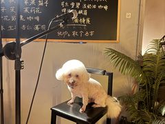 -故遥酒馆.赛事直播
