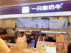 -一只酸奶牛(时代天街A馆店)