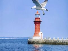 -大连老虎滩海洋公园
