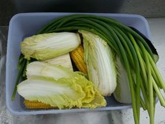 烧烤-上海长兴岛郊野公园