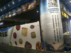 -丽江三义国际机场