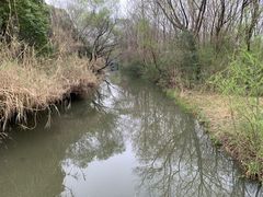 -溱湖国家湿地公园