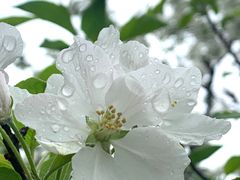 -朝阳公园