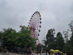 -南湖梦幻岛