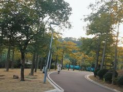 -飞凤山奥体公园