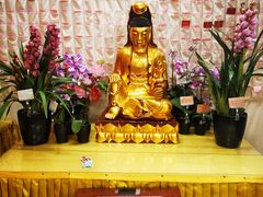 -亭林园-华藏寺