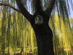 -元大都城垣遗址公园