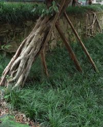 -苗医生0感祛痘连锁