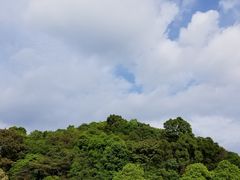 -广州市帽峰山景区